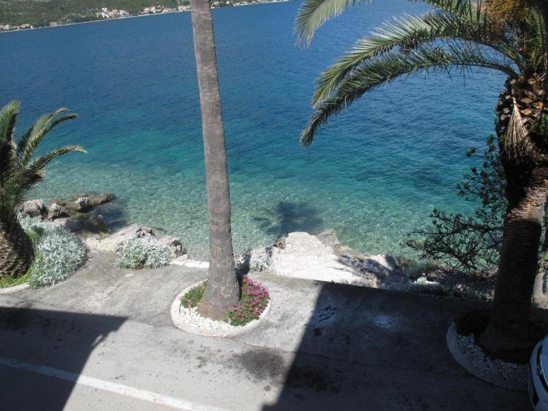 Apartments Jasmina Korcula Town Quarto foto